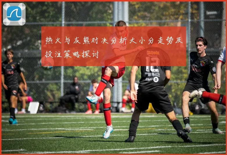 热火与灰熊对决分析大小分走势及投注策略探讨