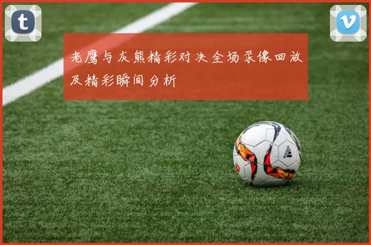 老鹰与灰熊精彩对决全场录像回放及精彩瞬间分析