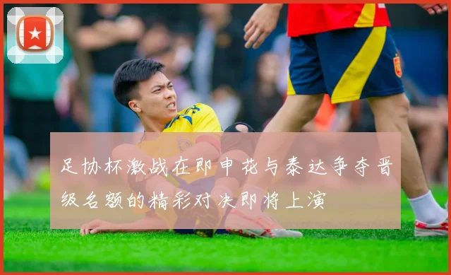 足协杯激战在即申花与泰达争夺晋级名额的精彩对决即将上演