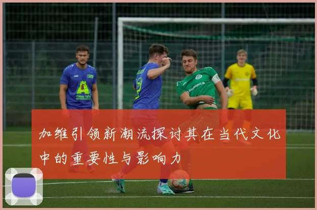 加维引领新潮流探讨其在当代文化中的重要性与影响力